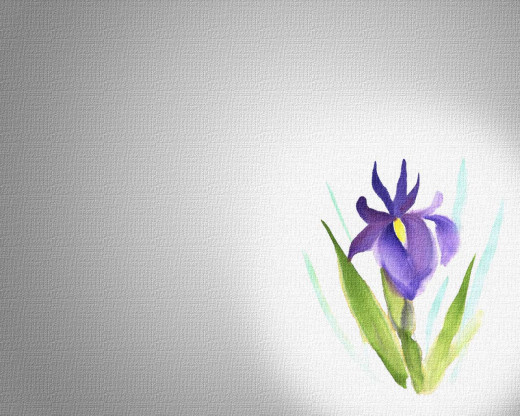 303210 (a): :1280x1024